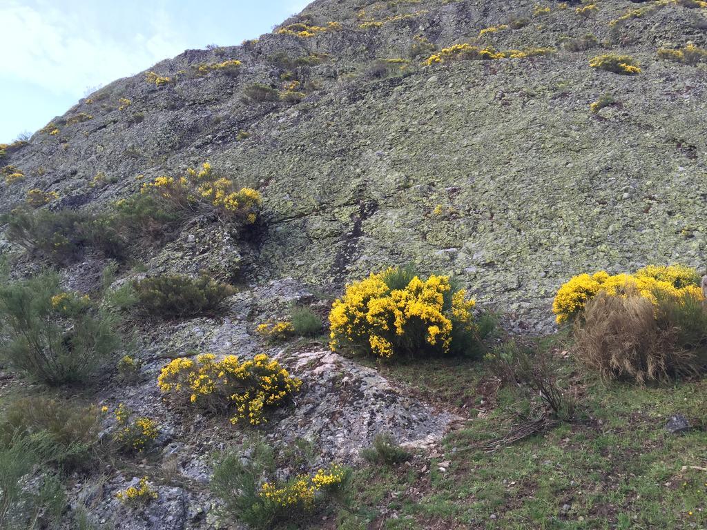 El Invernal De Picos Portilla de la Reina Bagian luar foto