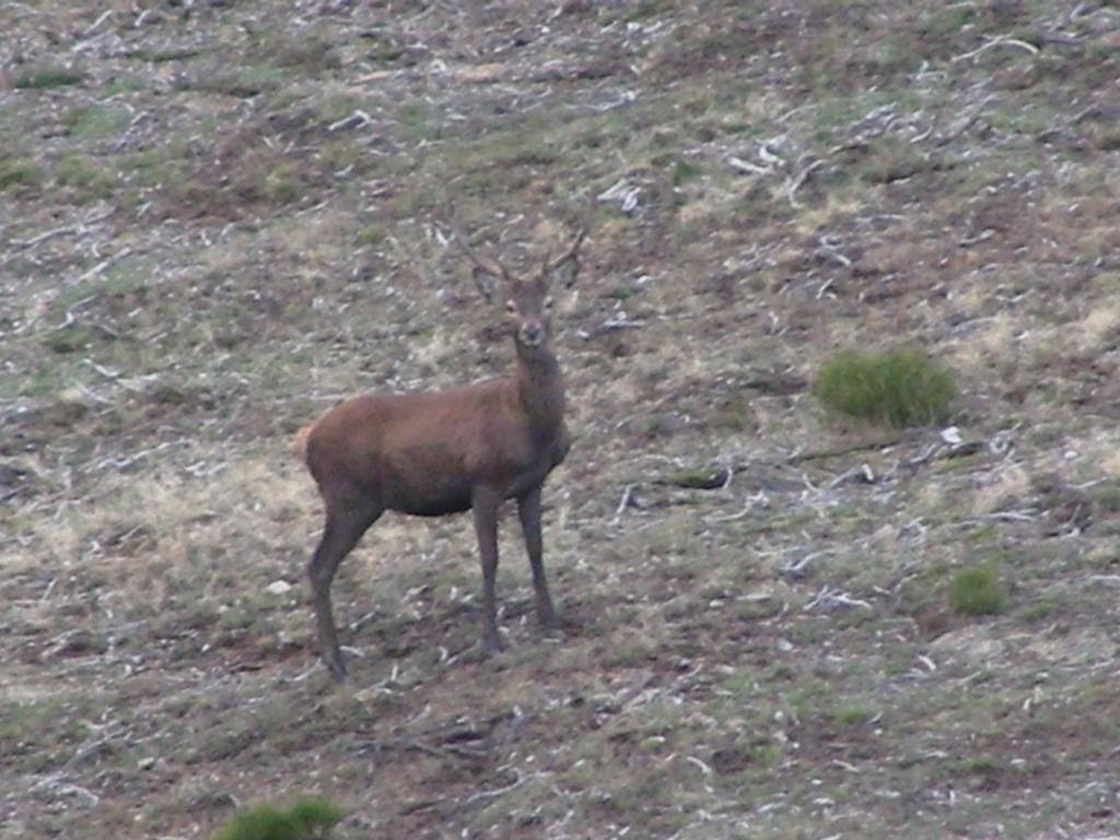 El Invernal De Picos Portilla de la Reina Bagian luar foto