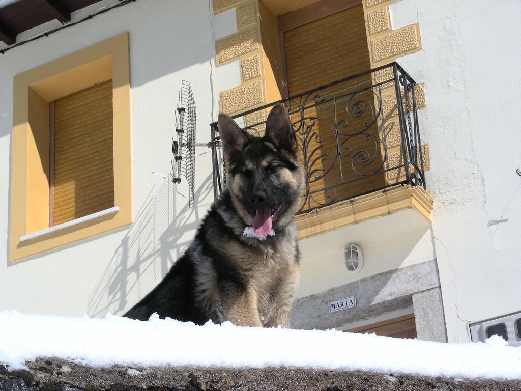 El Invernal De Picos Portilla de la Reina Bagian luar foto